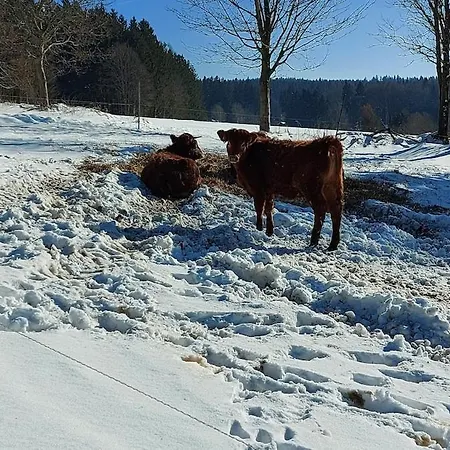 Reinhold Muldenhammer