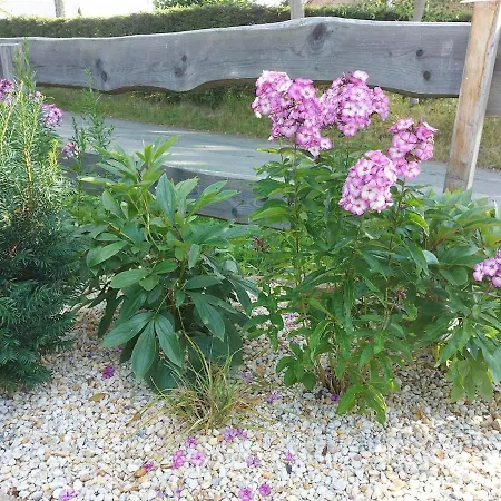 Reinhold アパート Muldenhammer